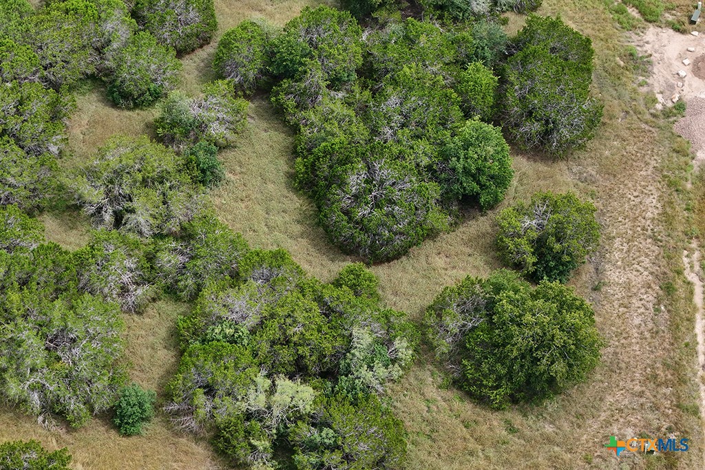 Canyon Lake, Texas 78133, United States, ,Land,Active,181521