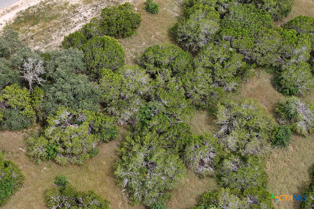 Canyon Lake, Texas 78133, United States, ,Land,Active,181521