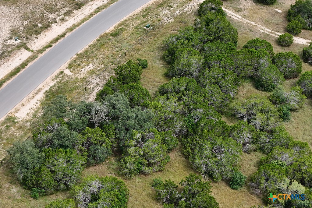 Canyon Lake, Texas 78133, United States, ,Land,Active,181521