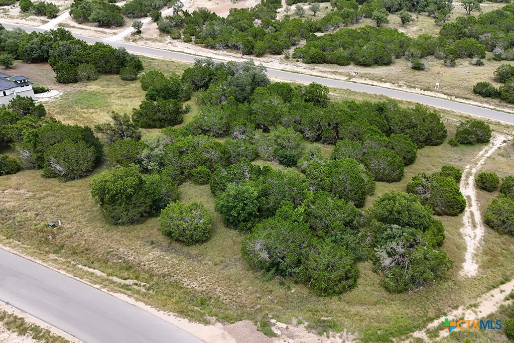 Canyon Lake, Texas 78133, United States, ,Land,Active,181521