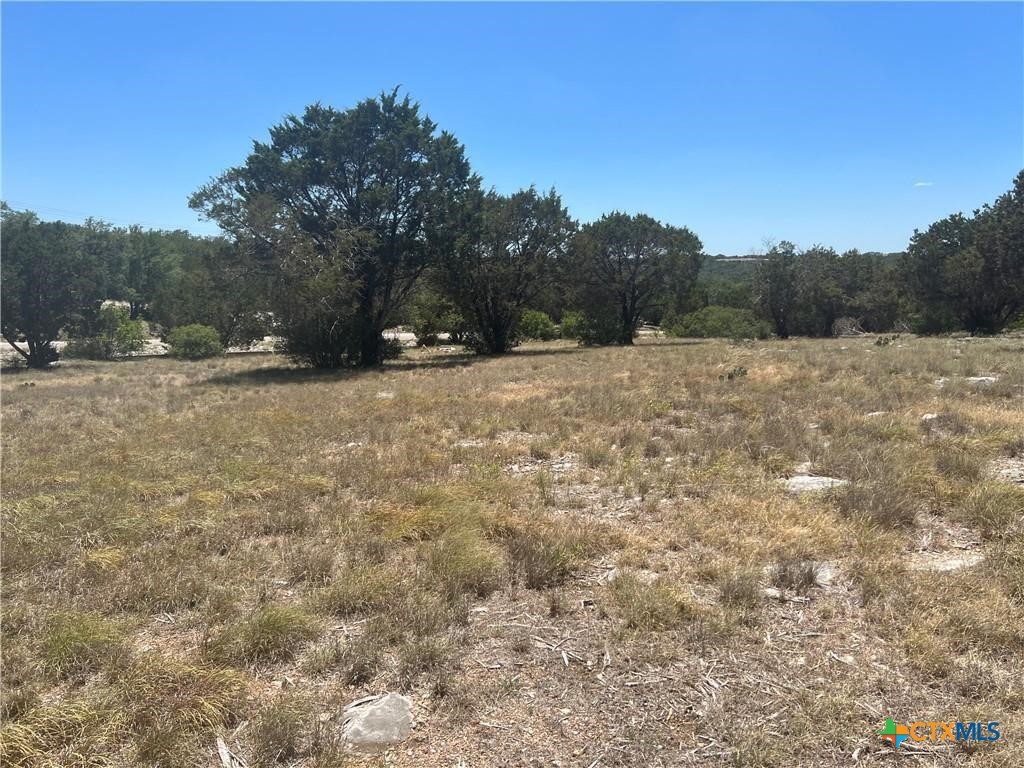 TBD Suthwind / Palomino