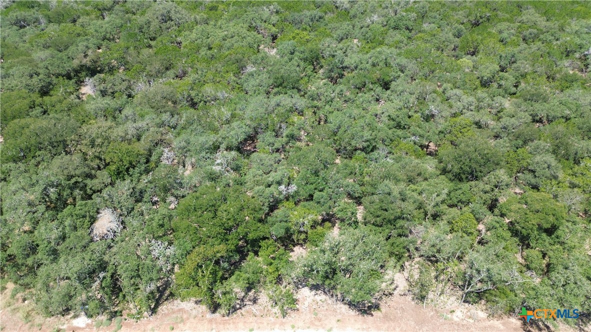 1909 (Lot 2) Woodford Court