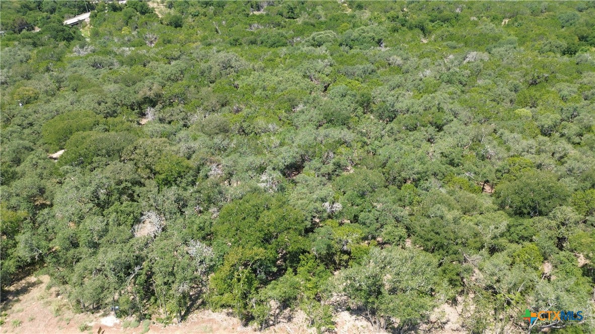 1909 (Lot 2) Woodford Court