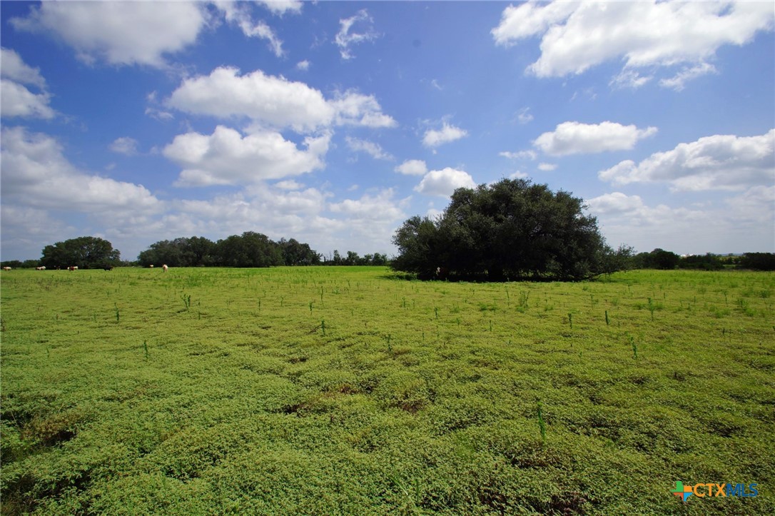 2002 County Road 276