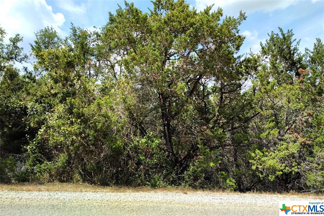 Photo 1 of 5 — 1146 ZANE GREY Lane, Spring Branch, TX 78070