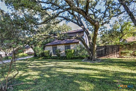176 Maple Trail Belton TX 76513