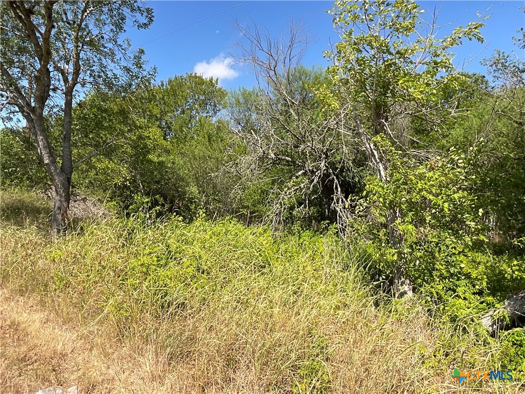 TBD US Hwy 77A Street