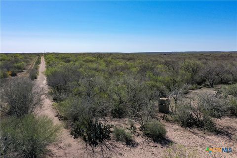 TBD County Road 131 George West TX 78022