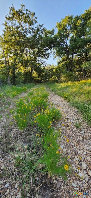 TBD Rosanky Rd, Tract 4