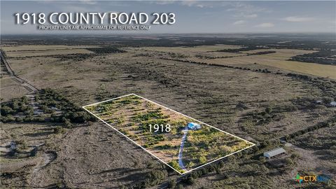 1918 County Road Burnet TX 78611