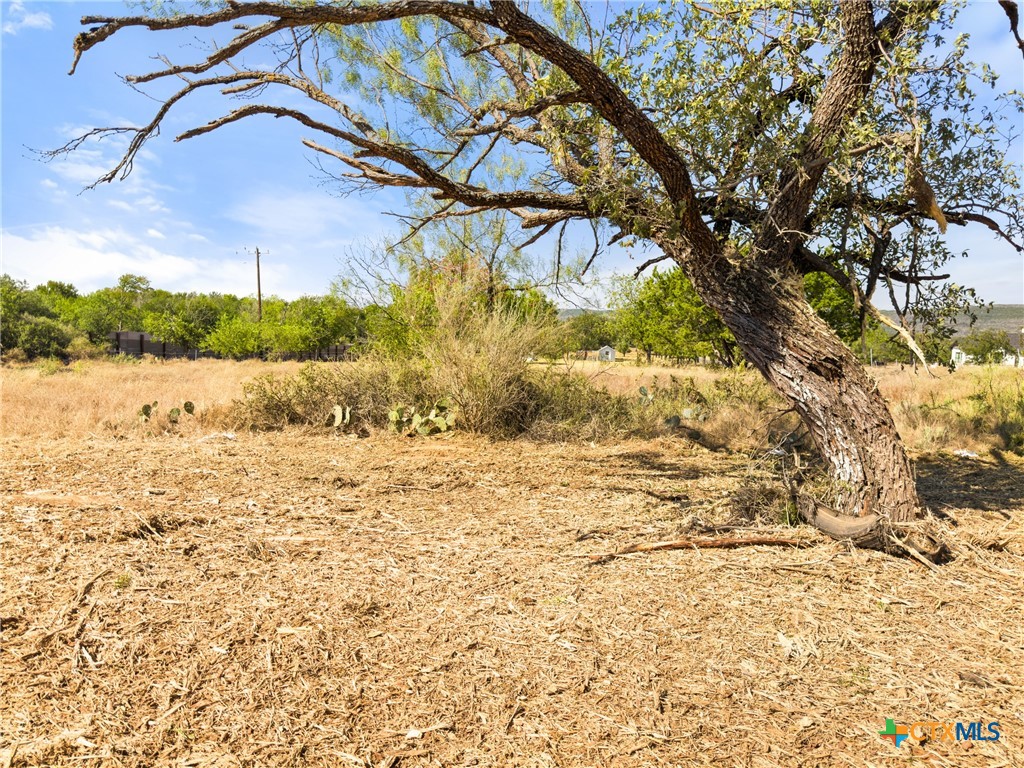 1133 County Road 118