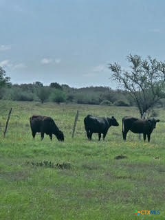 Photo 1 of 27 — 000 County Road 18 30.73 Acres Tract 3, Hallettsville, TX 77964