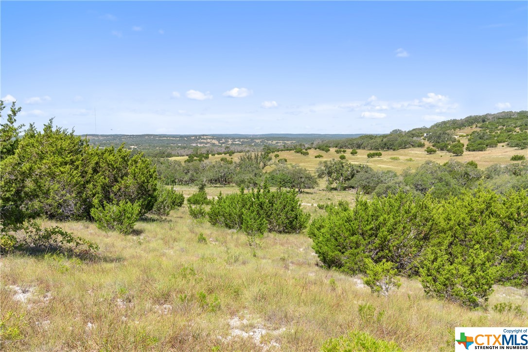 Tract 12 LewDele Lane