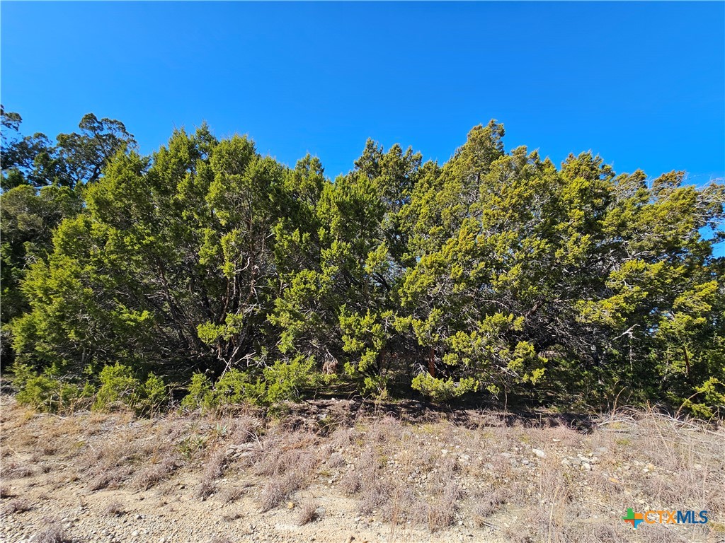 TBD County Road 3831