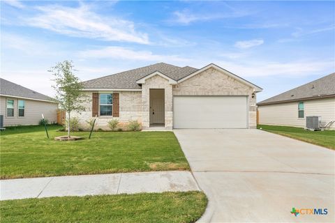 Photo of 1137 Laila Lane, Belton, TX 76513 (MLS # 620431)