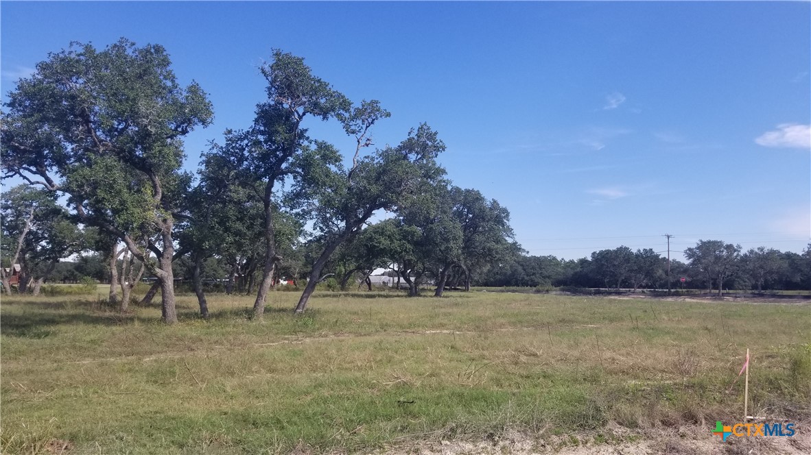 Photo 1 of 4 — 000 Enchanted Oaks, Inez, TX 77968