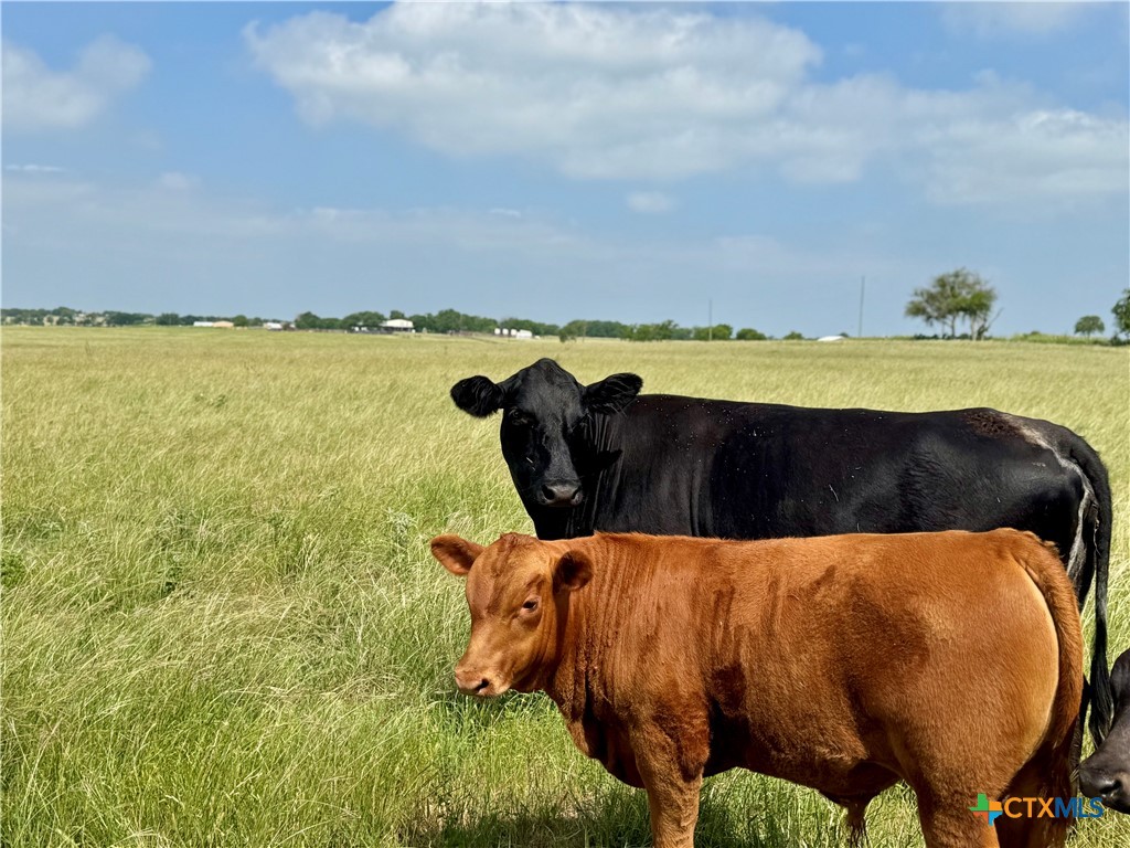 17 Acres Smith Dairy Road