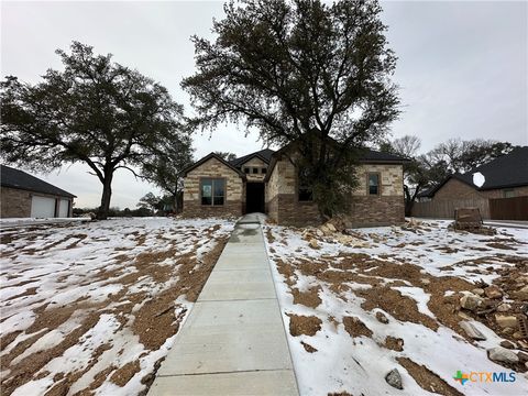 Photo of 643 Bald Eagle Loop, Salado, TX 76571 (MLS # 603269)