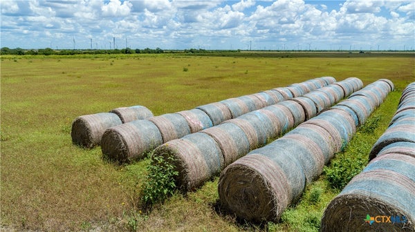 COUNTY RD 647, MATHIS, TX 78368 - Image ed355aaef2c5950da7f4e891f32f703e/4201196380