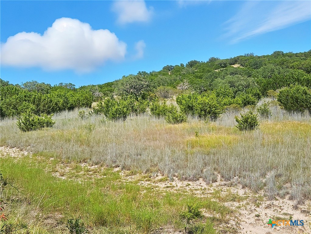 TBD-17.6 Acres Fm 1690