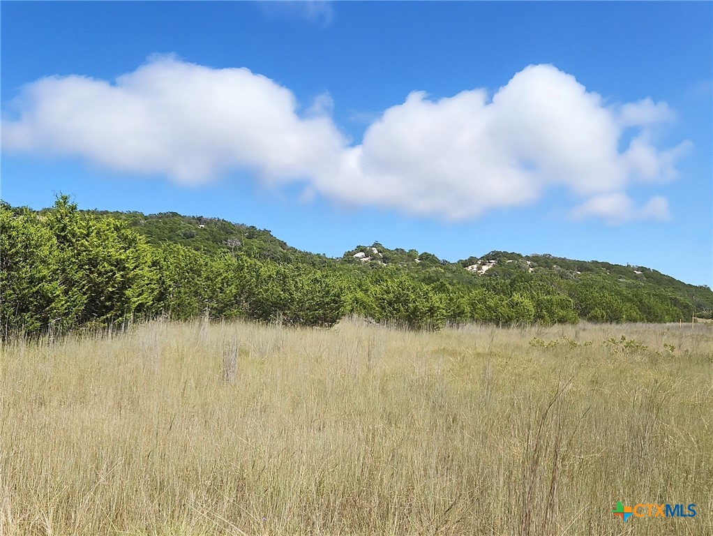 TBD-17.6 Acres Fm 1690