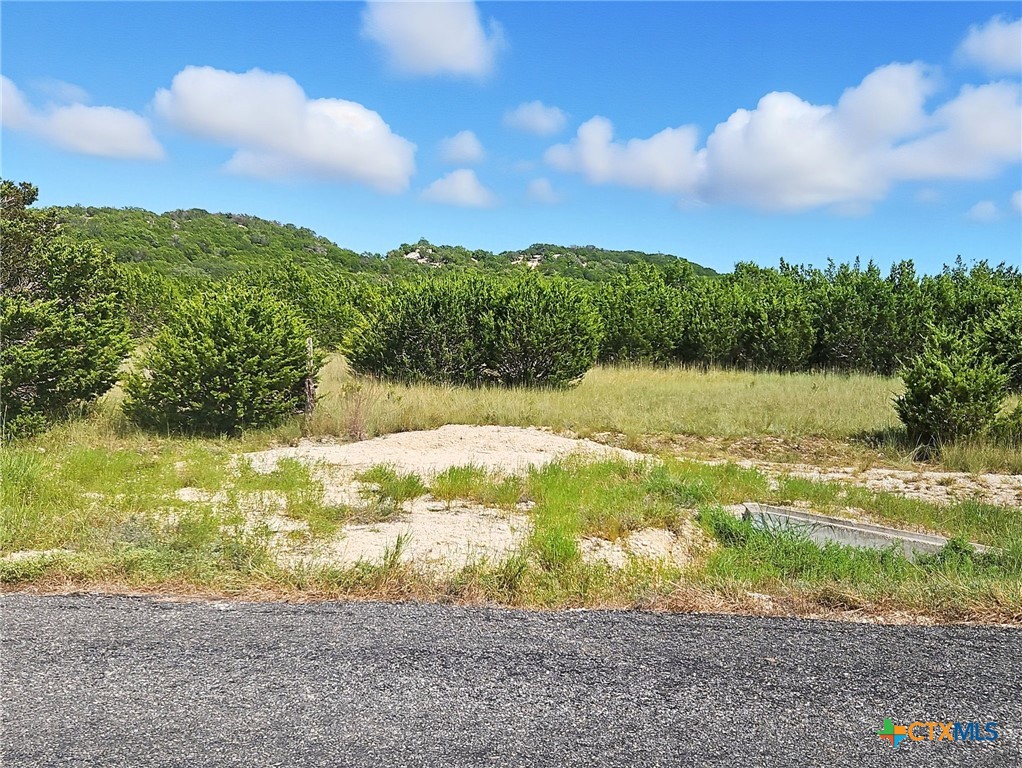 TBD-17.6 Acres Fm 1690