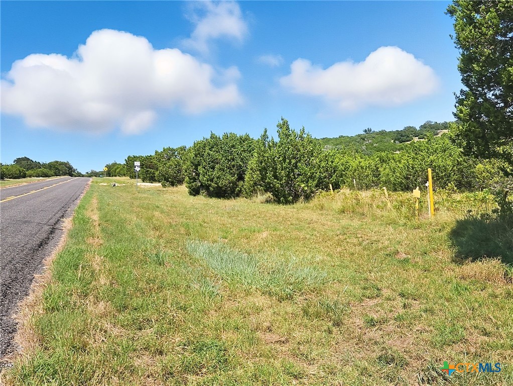 TBD-17.6 Acres Fm 1690