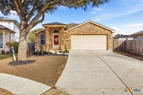 Photo of 348 Ibis Falls Drive, New Braunfels, TX 78130 (MLS # 607096)