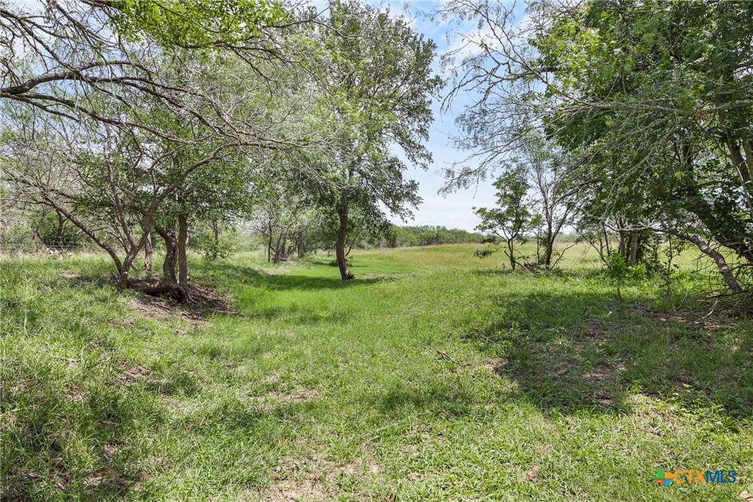 1190 Dickerson Road
