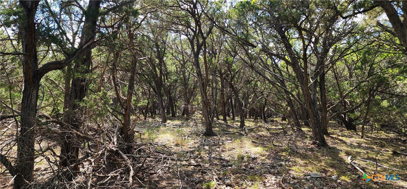 Lot 26 Mountain Creek Road