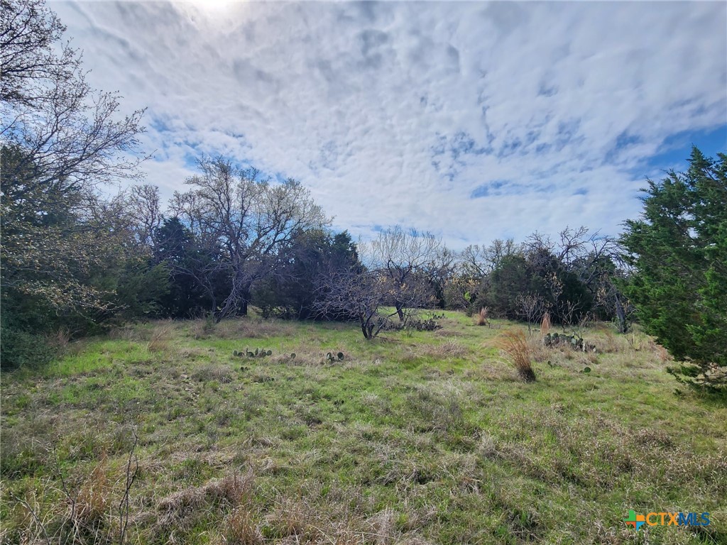 400 Blackjack Oak Drive