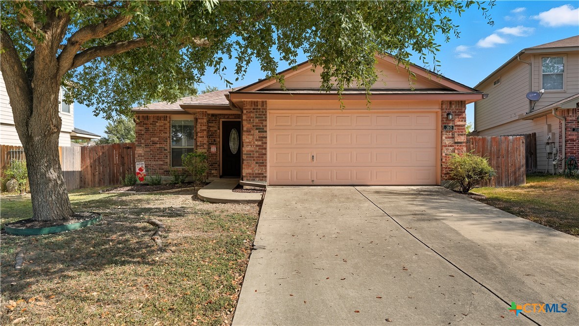 360 Ibis Falls Drive