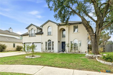 1410 Katie Lynch Drive Pflugerville TX 78660