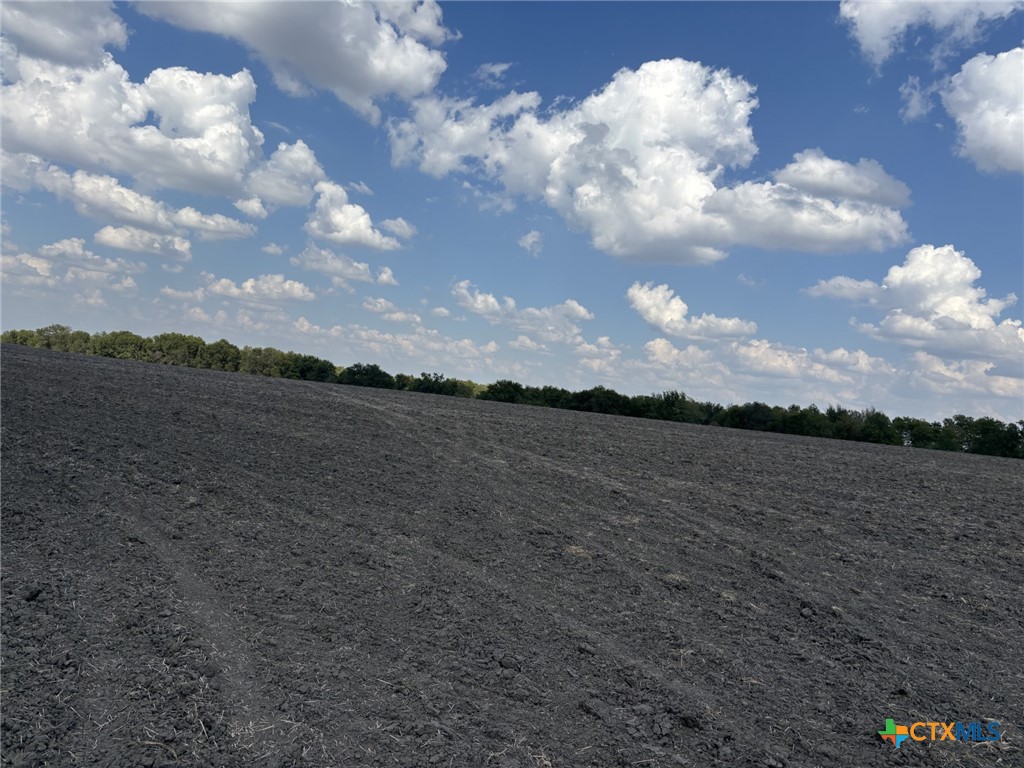 41 acres Cr 451