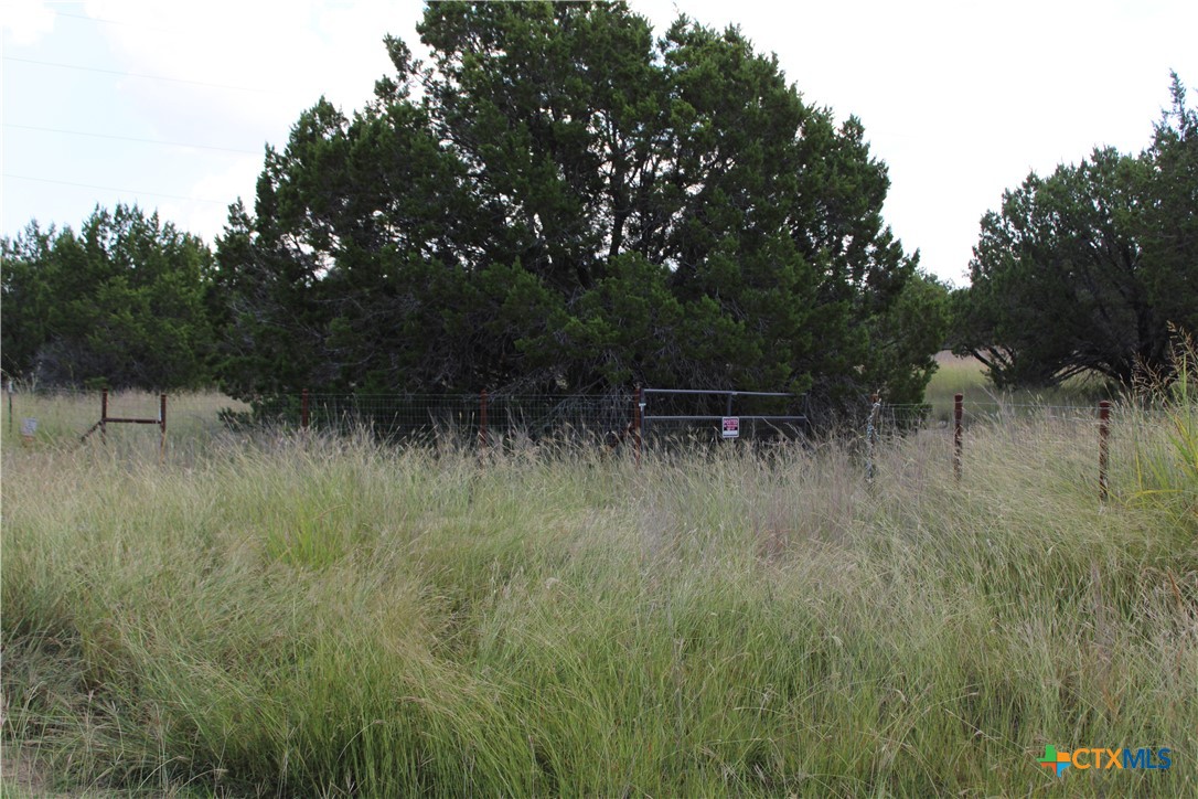 114 Shell Mountain Drive