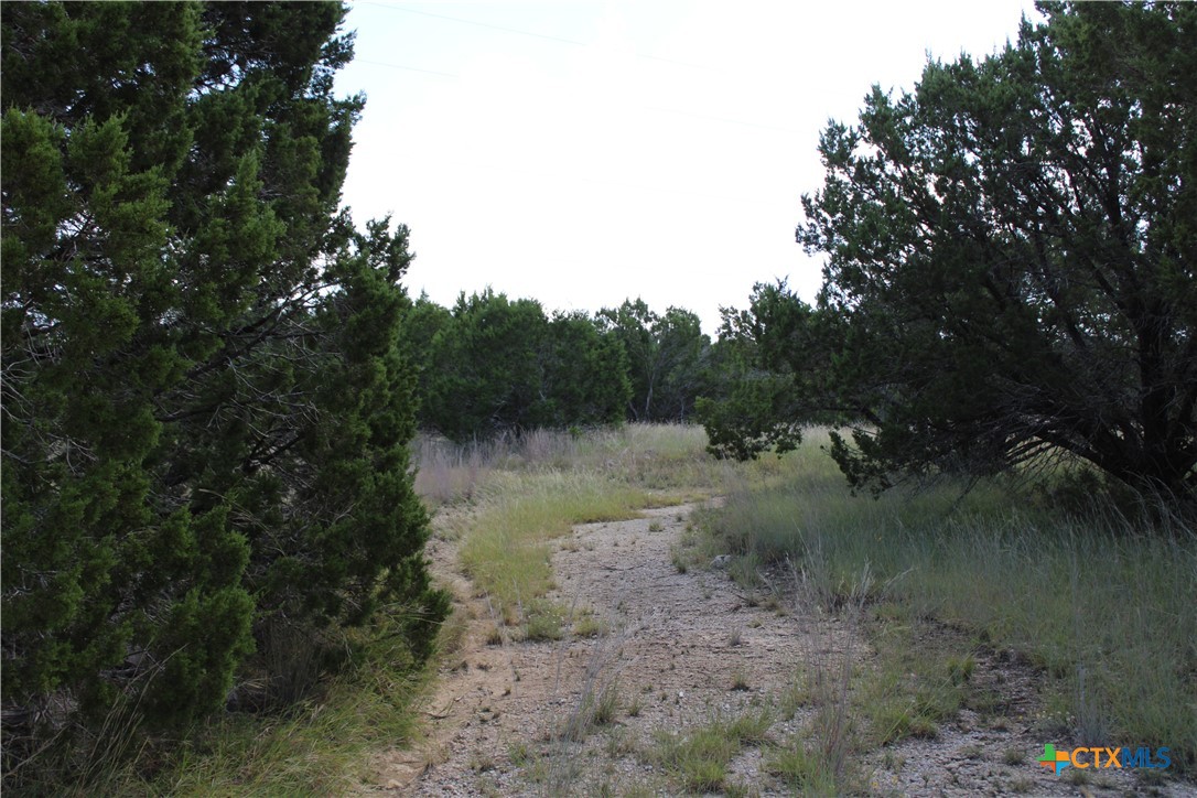 114 Shell Mountain Drive