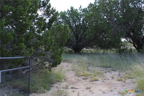 114 Shell Mountain Drive Gatesville TX 76528