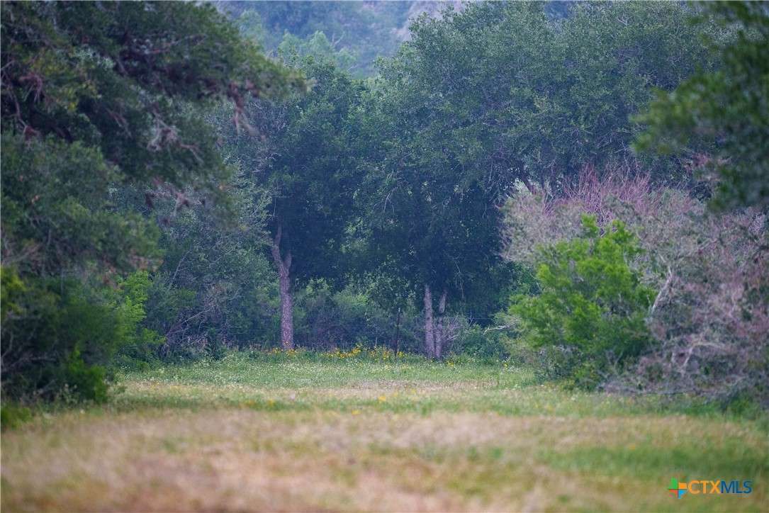 10801 County Road 116