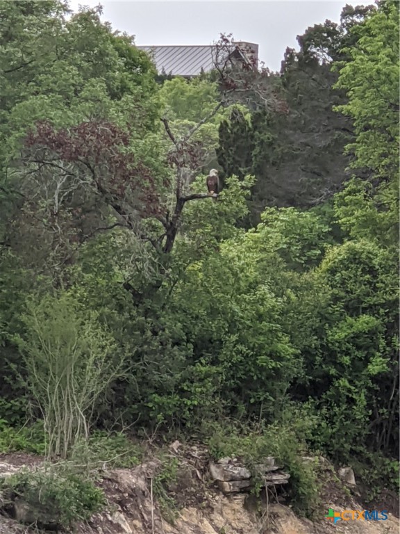 19529 Adrian--5.53 Acres