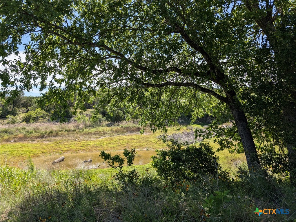 19529 Adrian--5.53 Acres