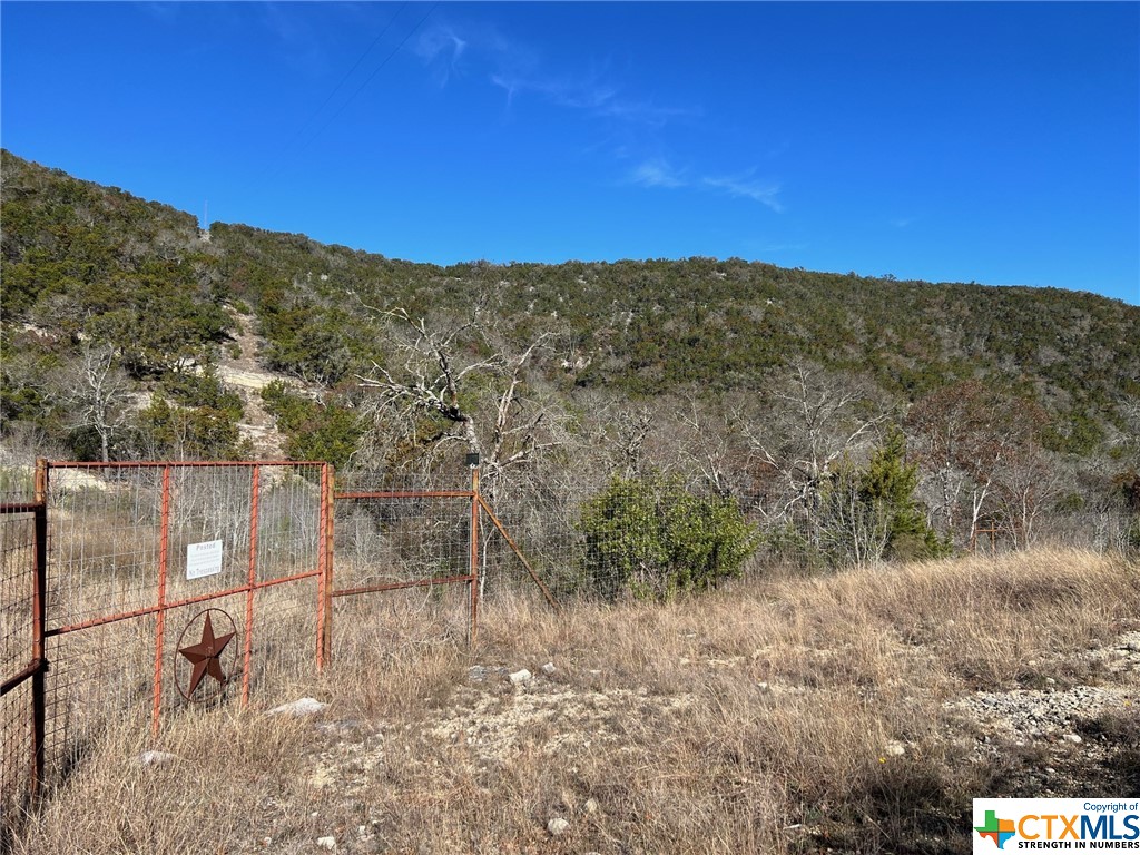 Medina, Texas 78055, United States, ,Land,Active,66432