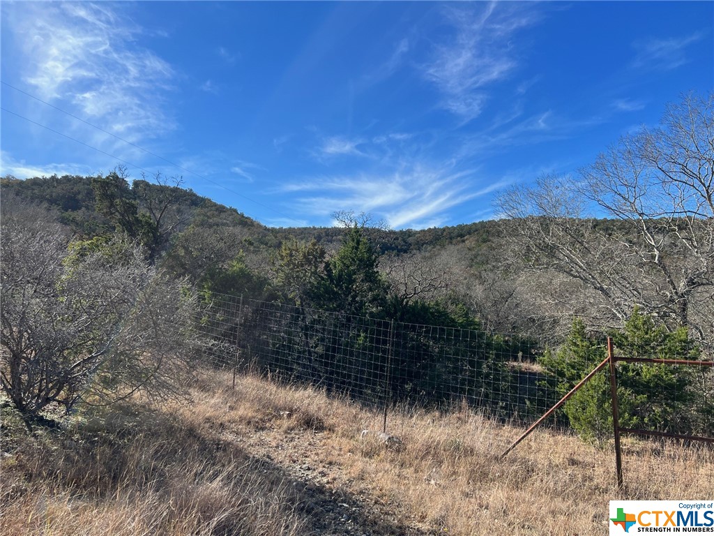 Medina, Texas 78055, United States, ,Land,Active,66432