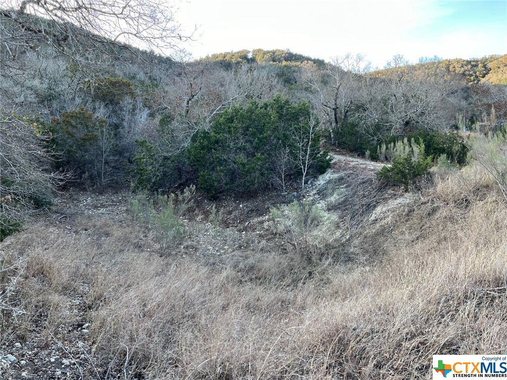 Medina, Texas 78055, United States, ,Land,Active,66432