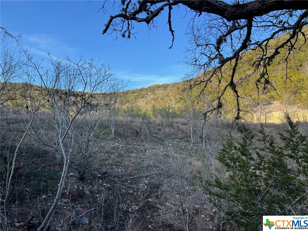 Medina, Texas 78055, United States, ,Land,Active,66432