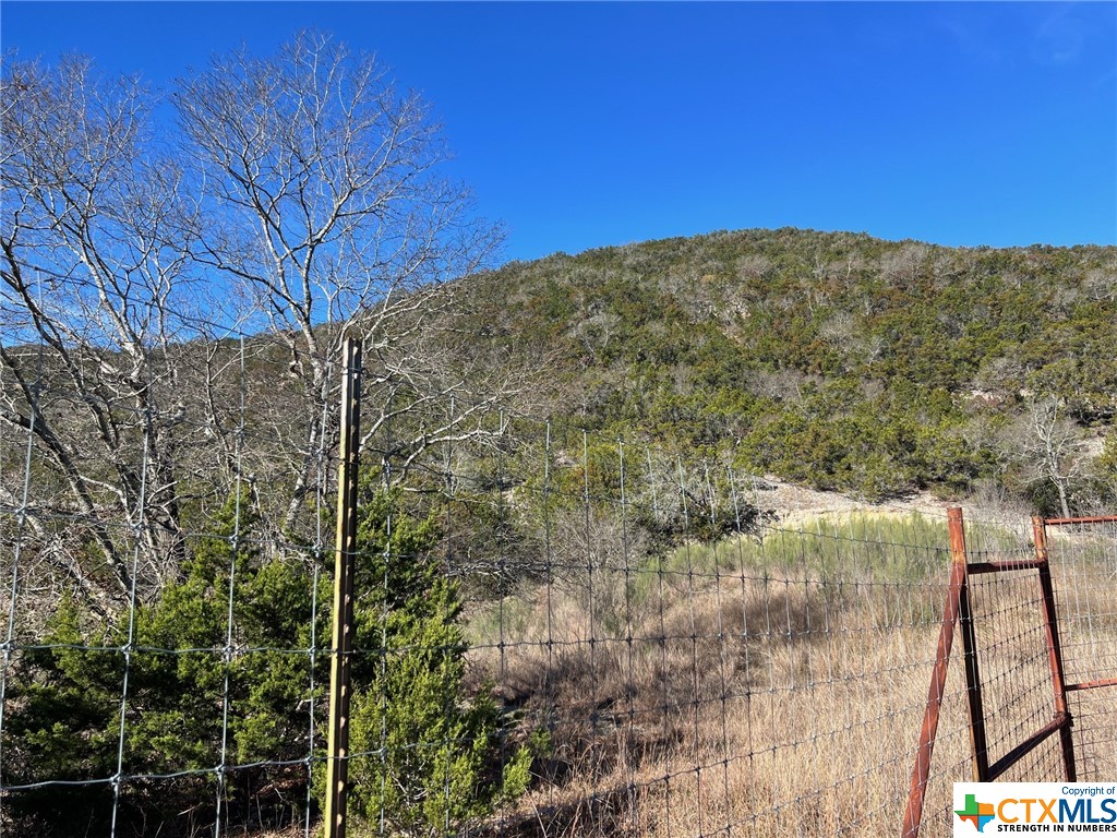 Medina, Texas 78055, United States, ,Land,Active,66432