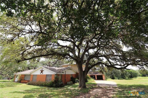 Photo of 229 E Fannin Street, Goliad, TX 77963 (MLS # 622313)