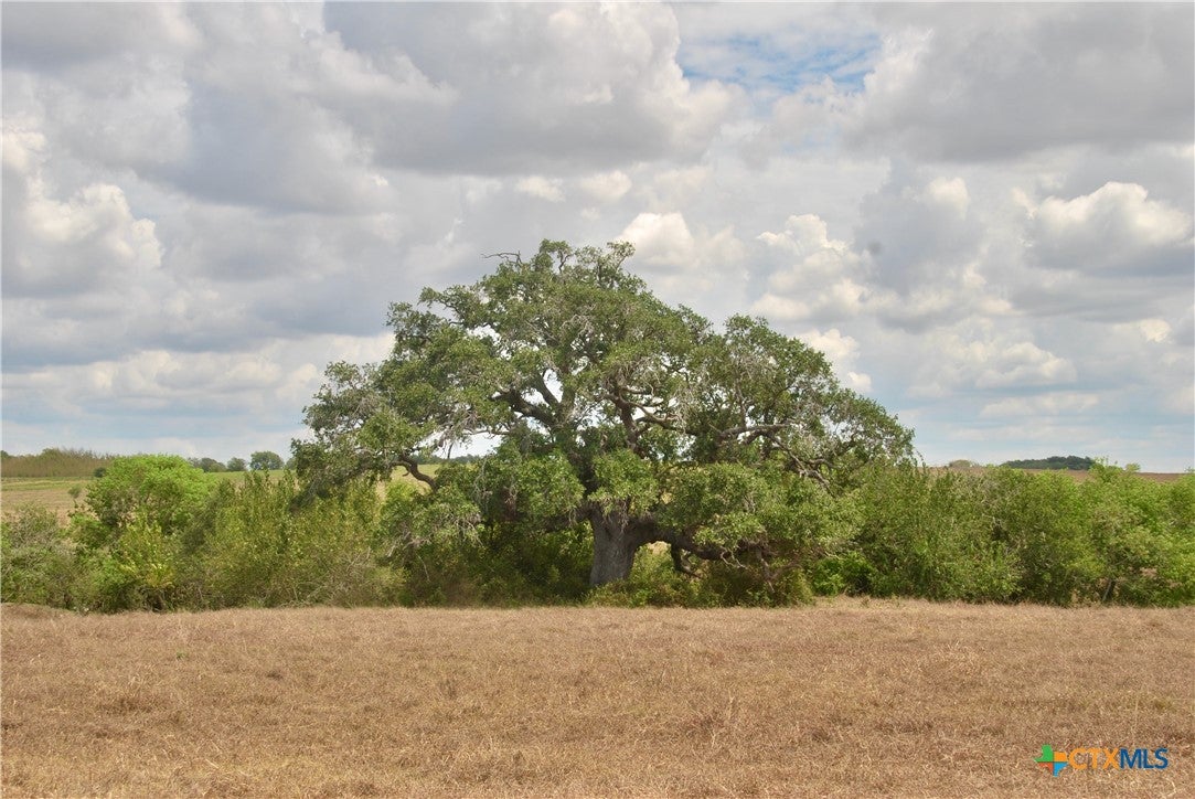 Tract 4 County Road 366