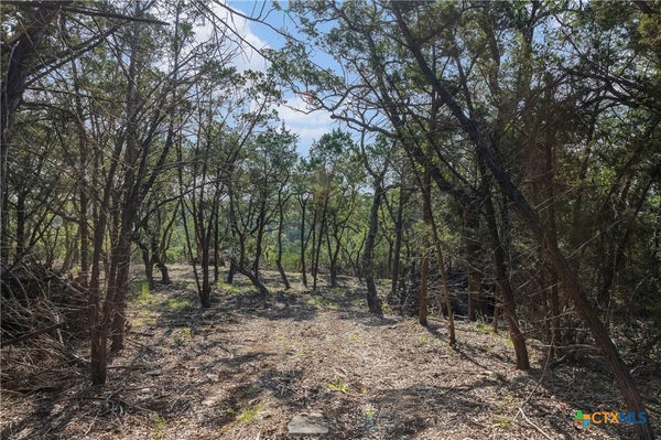 601 MOUNT OLIVE SCHOOL RD, WIMBERLEY, TX 78676 - Image f7a5159b99f2fa4bf8d156edb2043237/773885734