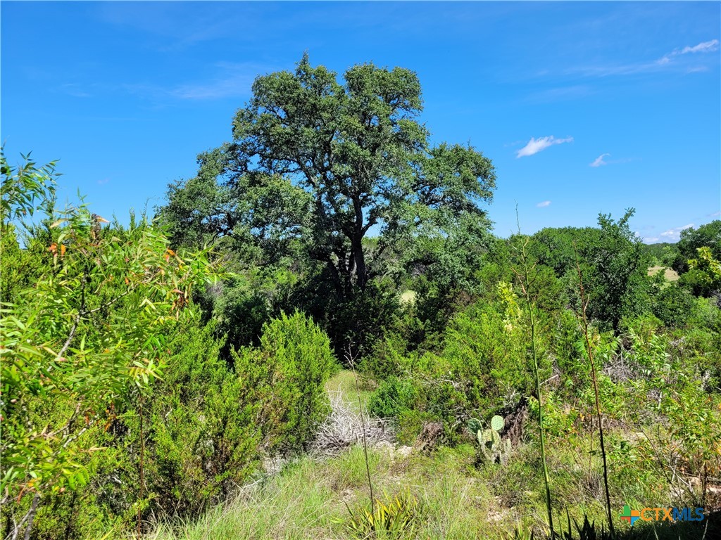 TBD CR 1139 575 Acres