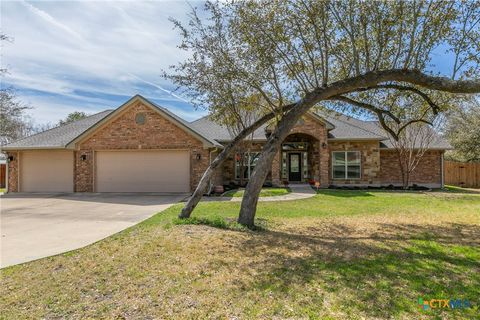 205 Spring Meadow Lane, Belton, TX 76513 - MLS#: 573036